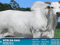 Lote S02