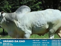 Lote S03