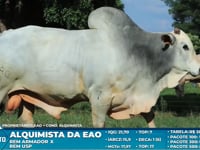 Lote S04