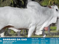 Lote S05