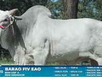 Lote S06