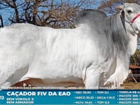 Lote S08