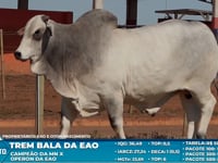 Lote S11