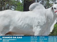 Lote S19