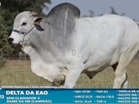 Lote S20