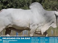 Lote S22