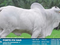 Lote S49
