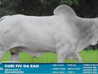Lote S52