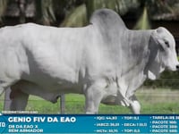 Lote S58