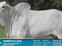 Lote S61