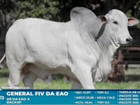 Lote S64