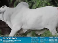 Lote S66