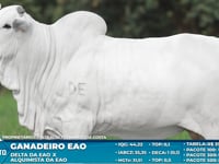 Lote S67