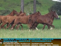 Lote M02