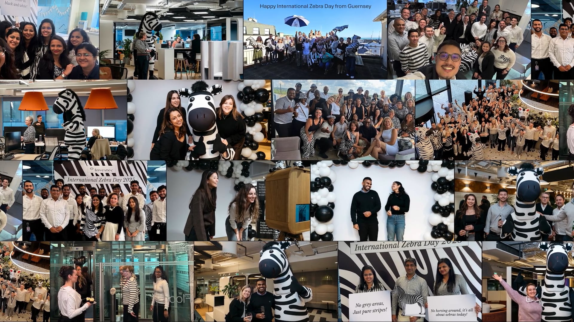 Investec | International Zebra Day