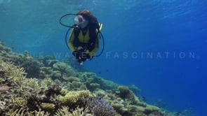 0605_coral reef with female diver