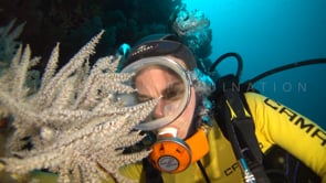 0663_scuba girl white soft coral