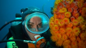 0664_scuba girl daisy coral