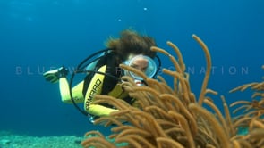 0665_scuba diver girl wavy coral