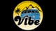 Vibe Campers conversion example 4