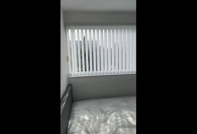 Tenant needed—prefarably a female but Main Photo