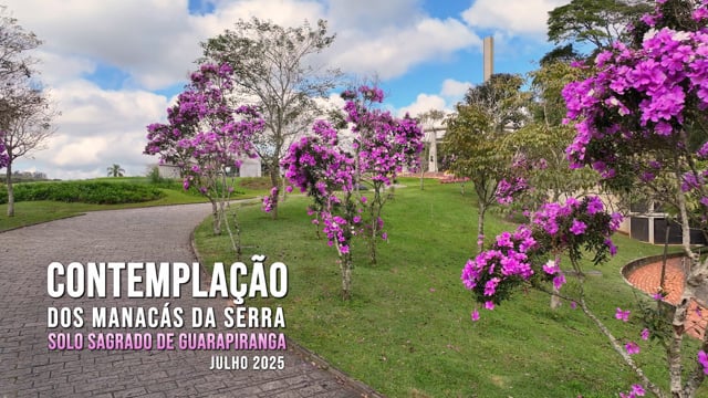 Capa do vídeo “Contemplação Manacá da Serra I - julho 2025”