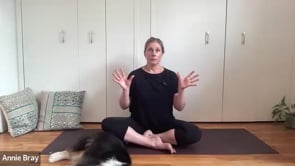 Related Embedded Video Item Thumbnail