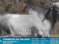 Lote S07