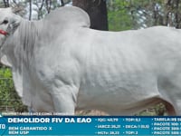 Lote S23