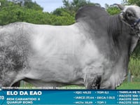 Lote S27
