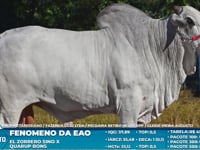 Lote S32