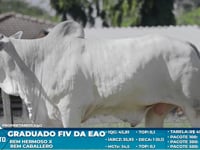 Lote S59