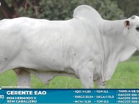 Lote S60