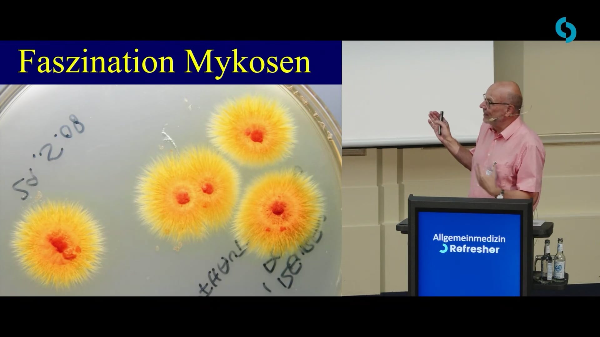 Mykosen: Neue und klassische Erreger