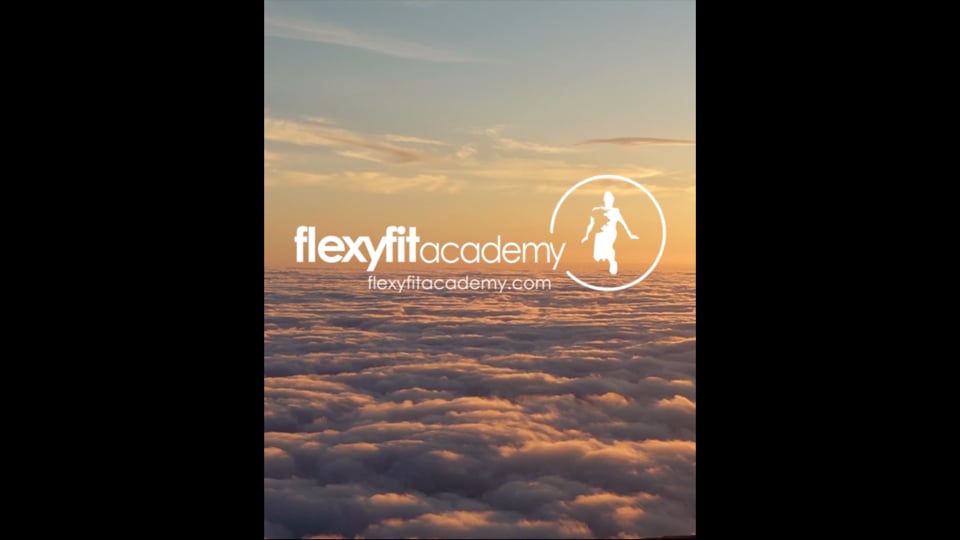 Videovorschau Demoseite