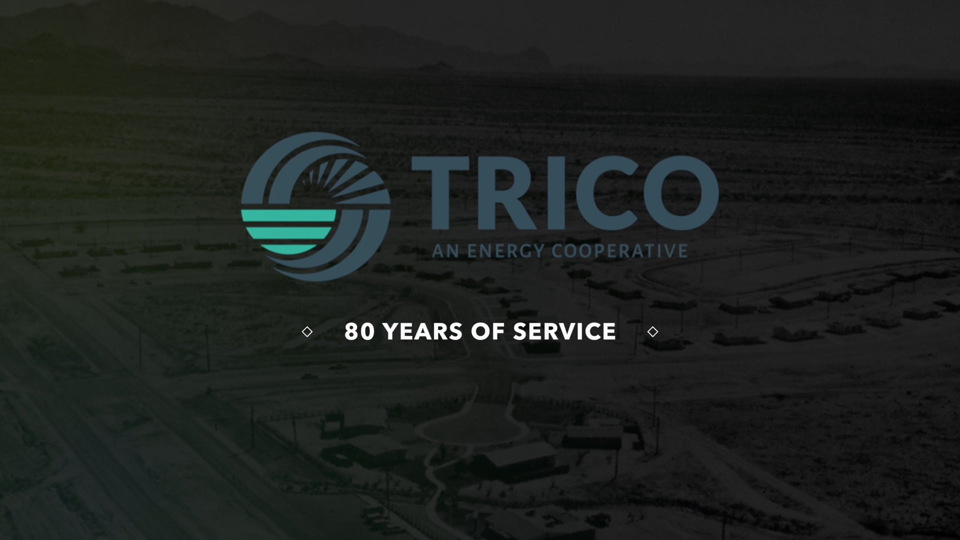 Trico History 2025