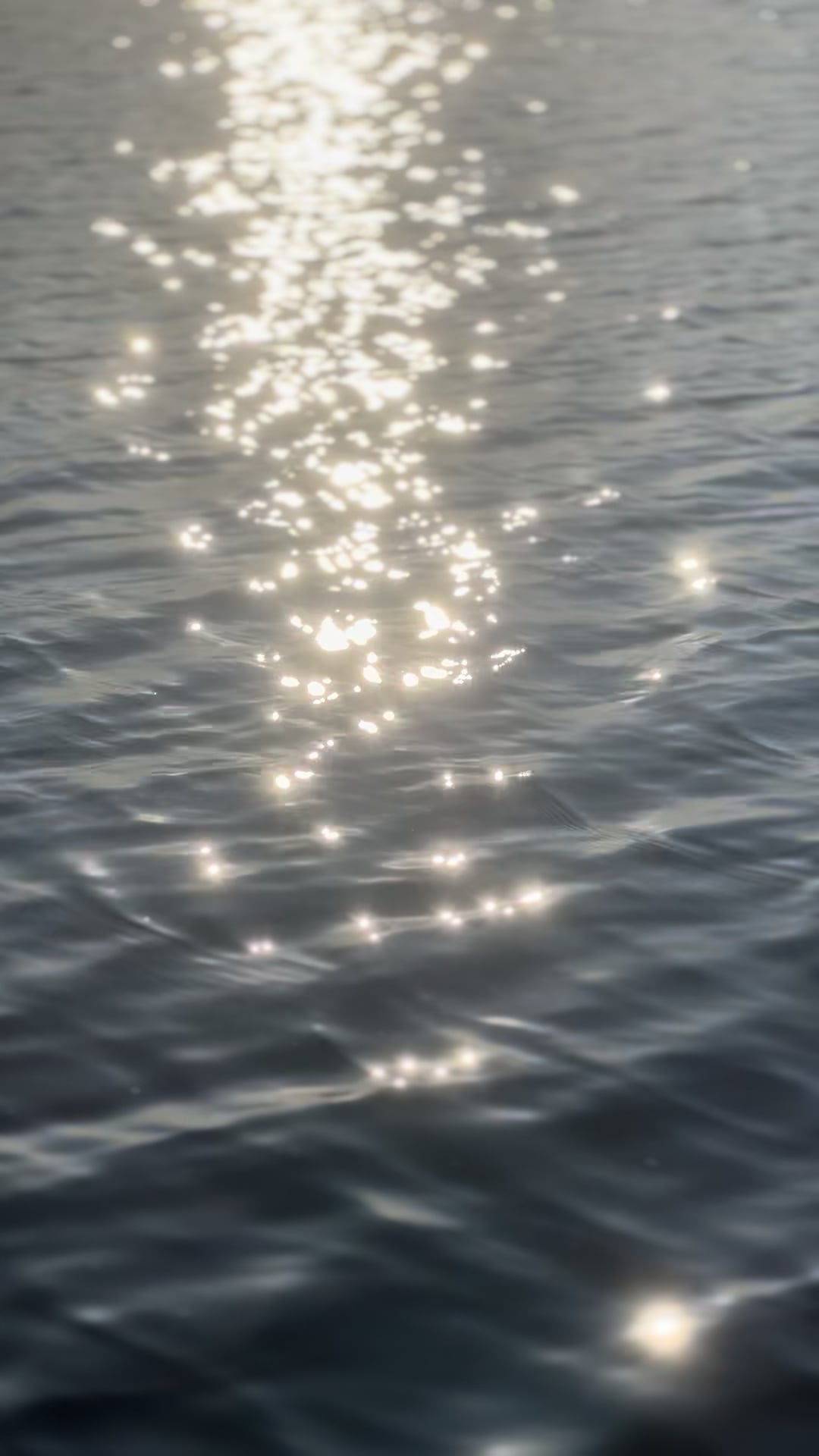 https://i.vimeocdn.com/video/2035601086-bb27751332309946ba0fc2e05d32ab40a96784f887f6625d5519ee8e9ce9b0ad-d