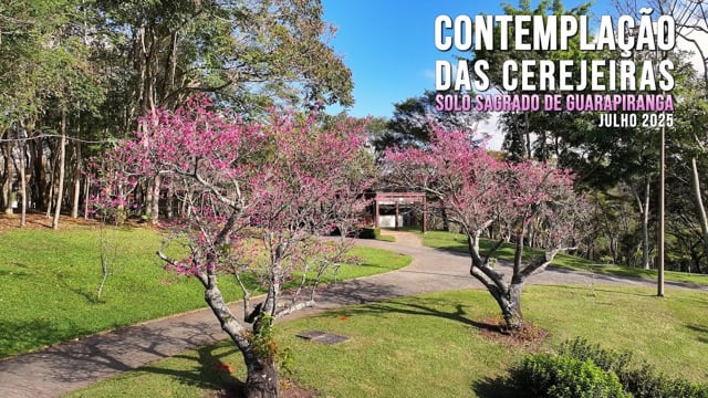 Capa do vídeo do “Contemplação das Cerejeiras - Solo Sagrado de Guarapiranga  | Julho / 2025”.