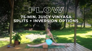 75 Min. Juicy Front Splits Vinyasa Practice w/ Inversion Options