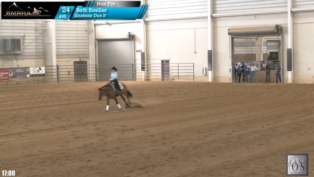 #495 Beth Sneller