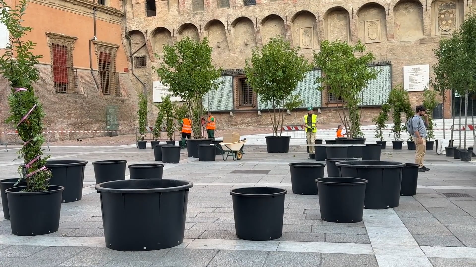 Installate le prime piante in centro