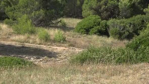 Els espais naturals de l'Escala reforcen la vigilància a l'estiu