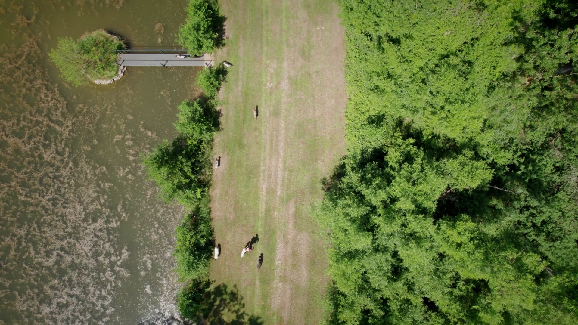 Delta δe 'VAL du Royaume de Navarre (Educ’VAL)