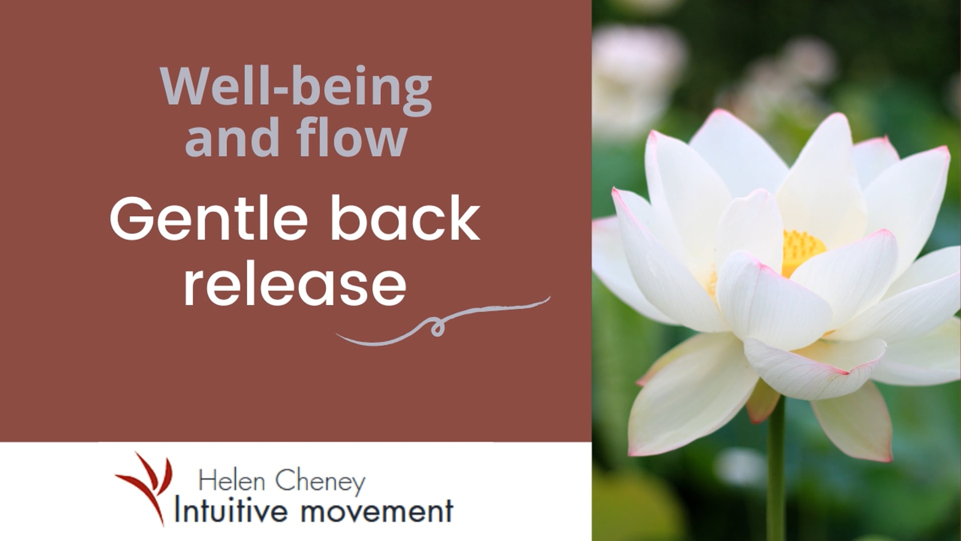 Gentle back release