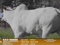 Lote A02