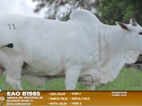 Lote A04