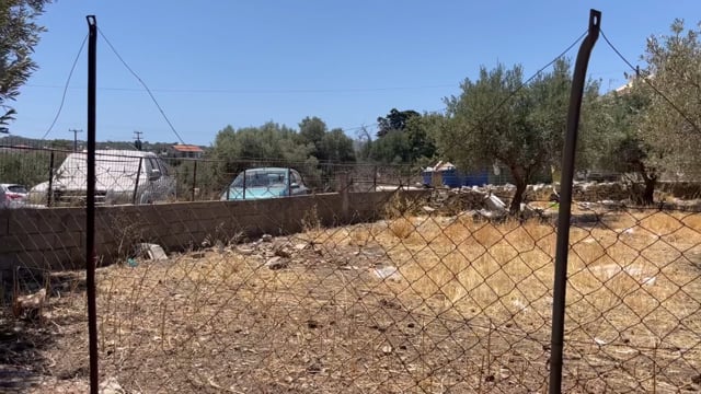 Ατσιπόπουλου Ρεθύμνου: Πολλές γάτες βρέθηκαν δηλητηριασμένες με φόλες 10-7-2025