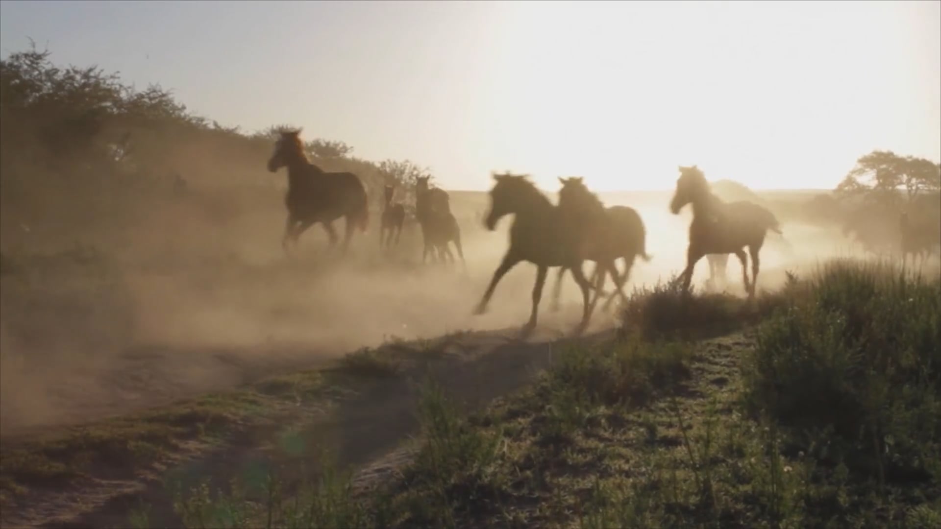 Borra todo lo que dije del amor