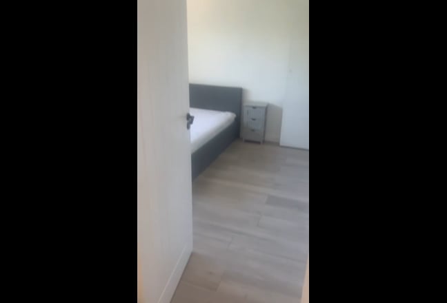 Video 1: