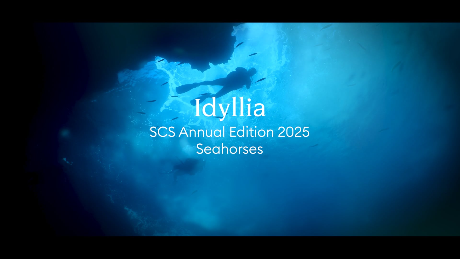 Swarovski SCS AE 2025, Seahorses